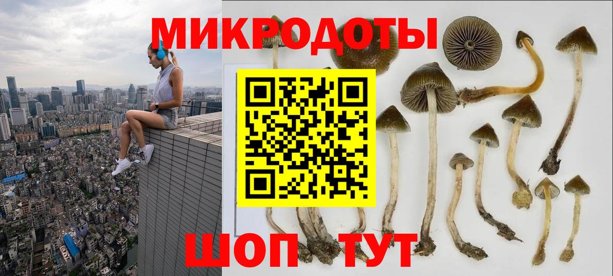 Псилоцибиновые грибы мицелий  Вход с VPN  купить наркотик  Набережные Челны 