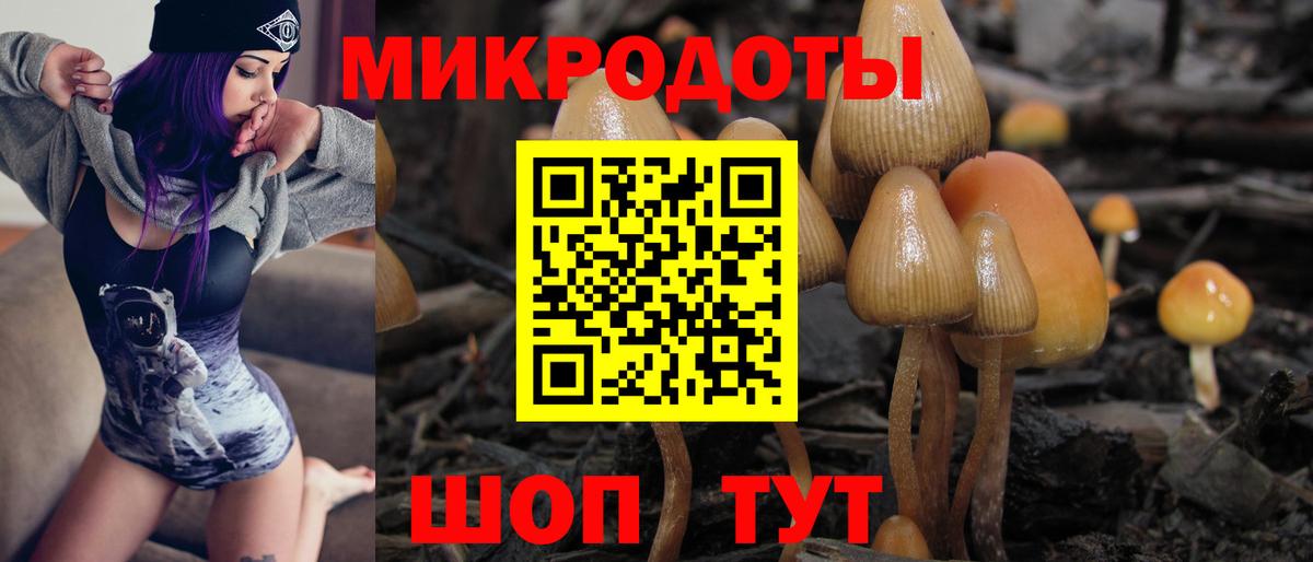 Галлюциногенные грибы GOLDEN TEACHER Набережные Челны