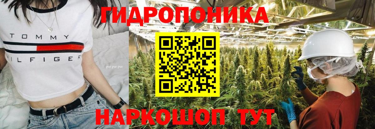 Набережные Челны  Конопля тримм  Каннабис планчик  МАРИХУАНА сатива  Вход с VPN  Канабис White Widow 